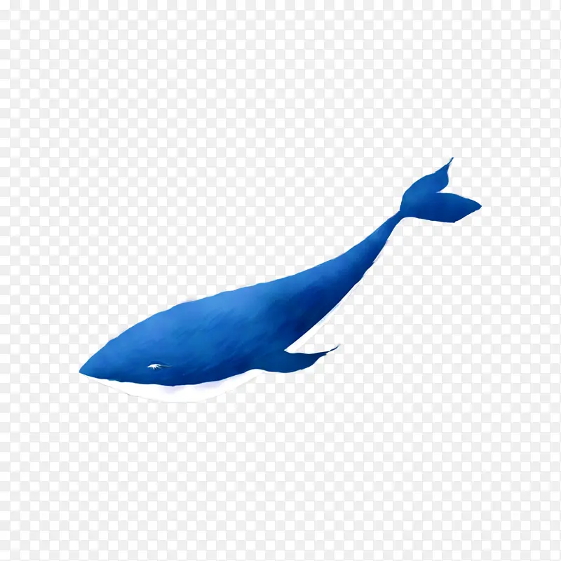 深蓝色小鲸鱼