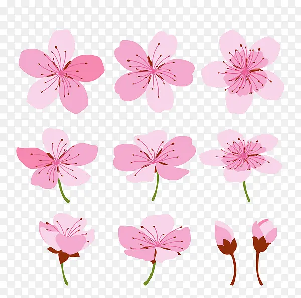 彩绘粉色樱花