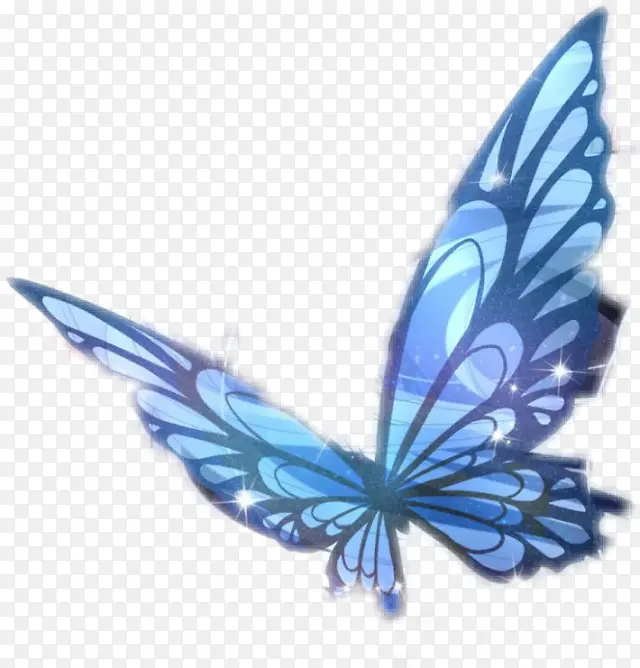 蓝色的大蝴蝶