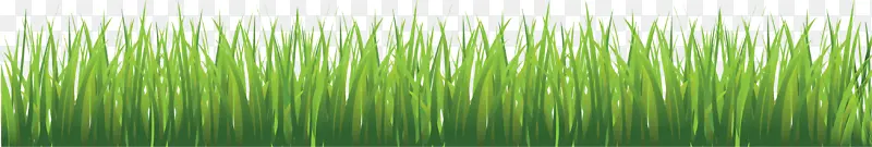 手绘绿色草丛堆