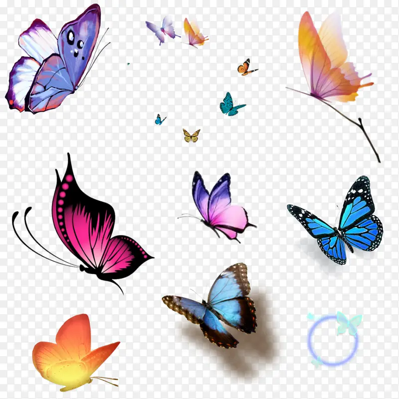 各种蝴蝶装饰元素