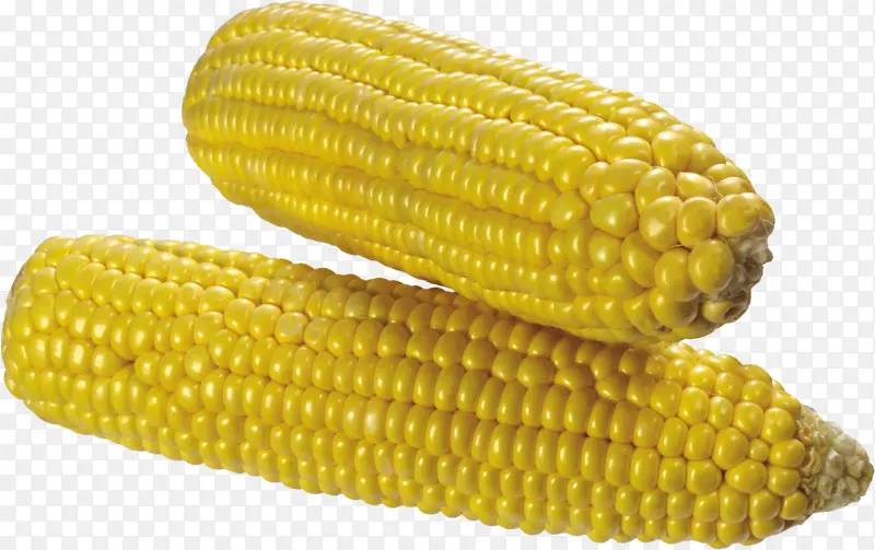 黄的饱满玉米