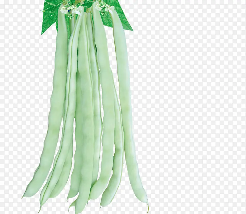 绿色长豆角蔬菜
