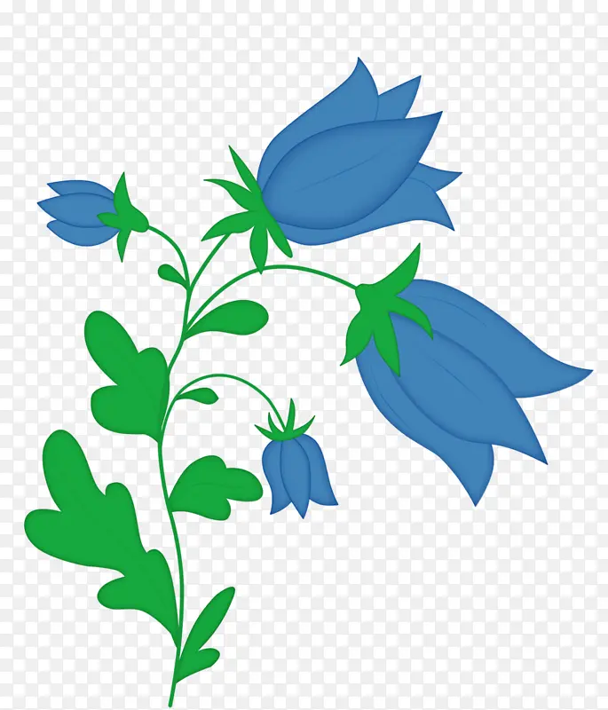 蓝色风铃花植物图片