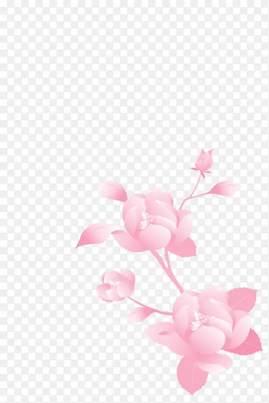 是一朵花待绽放的花