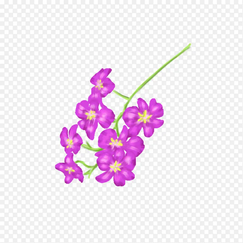 紫羅蘭，紫色花，手绘紫罗兰，手绘紫色花