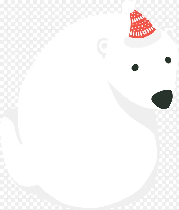 北极熊 动物 白色 冷
