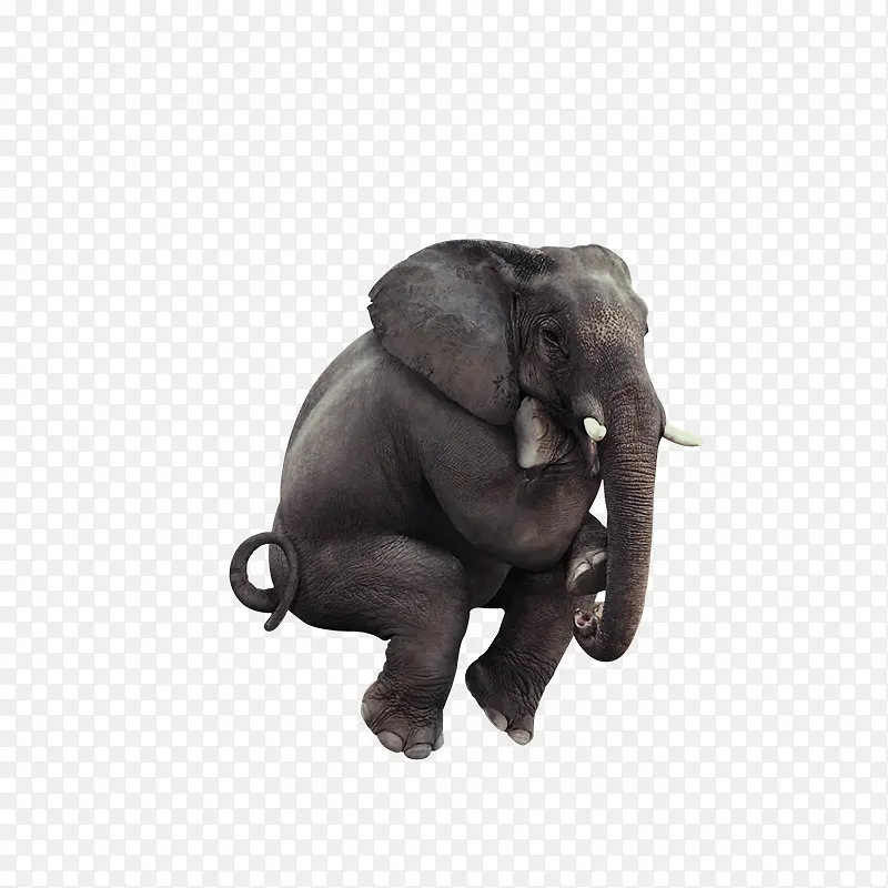 坐着思考的大象