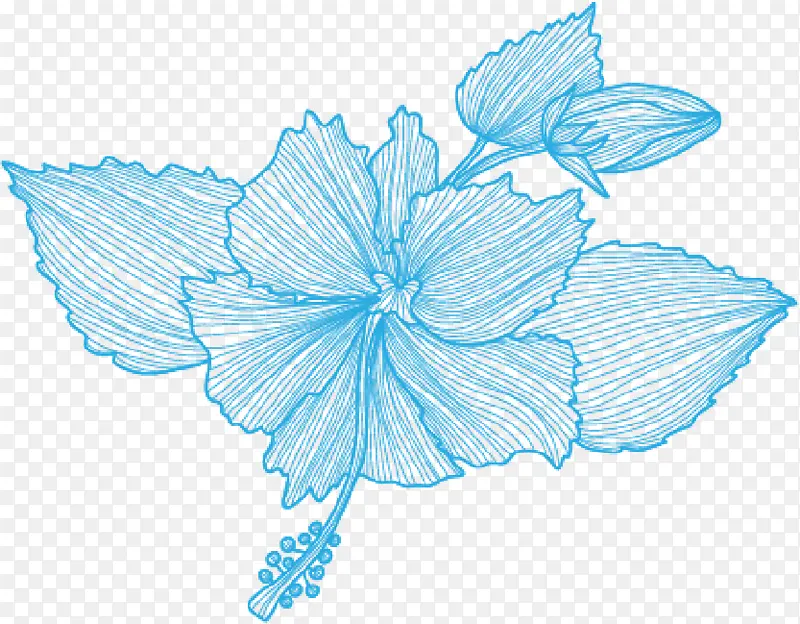 浅蓝色手绘小清新花朵