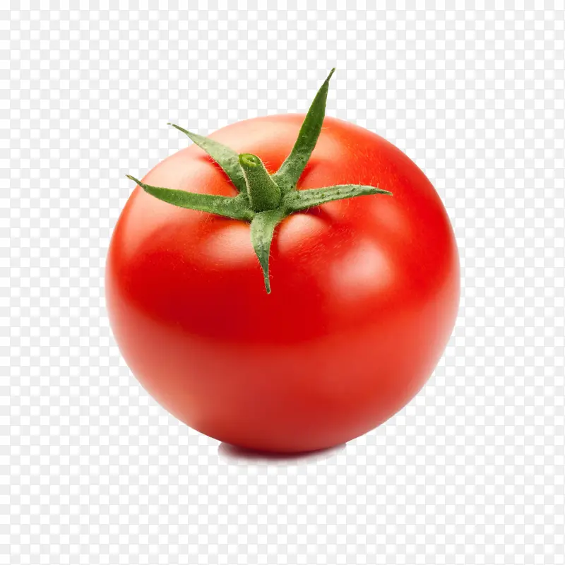 番茄 一个 红色 免扣