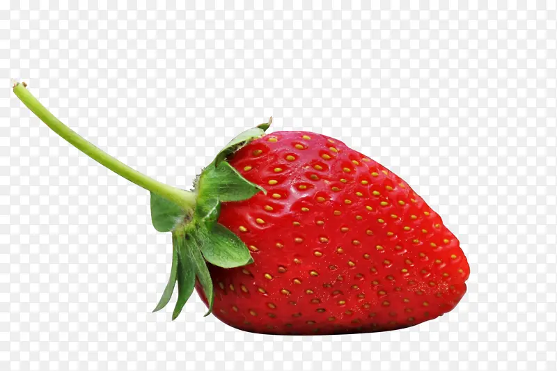 草莓水果奶油草莓红草莓