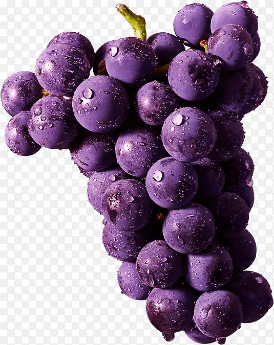 葡萄 卡通葡萄 水果