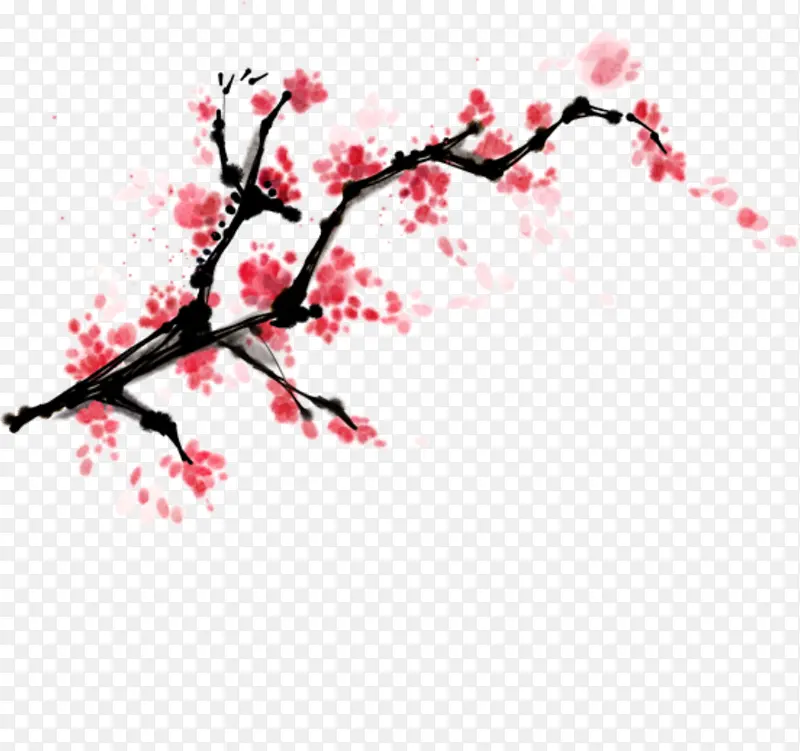 精美手绘中国风水彩写意国画红梅花