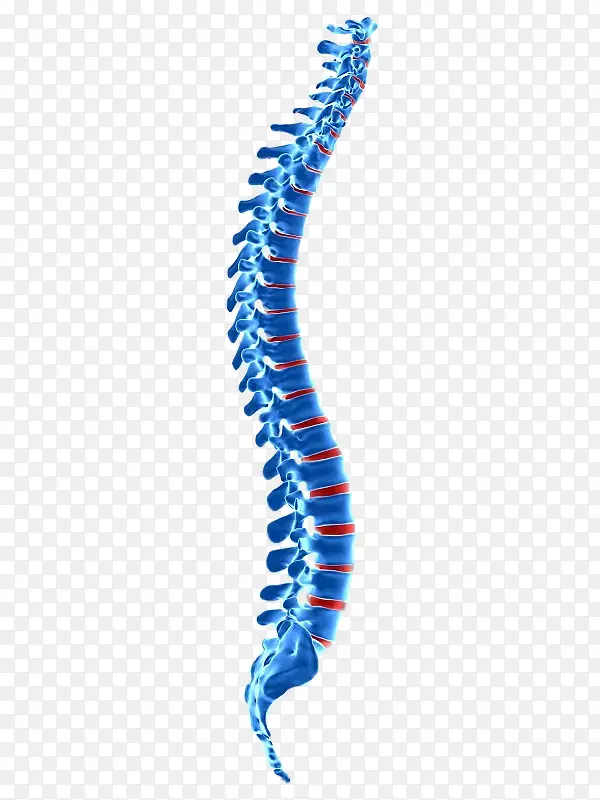 脊椎疼痛脊柱骨