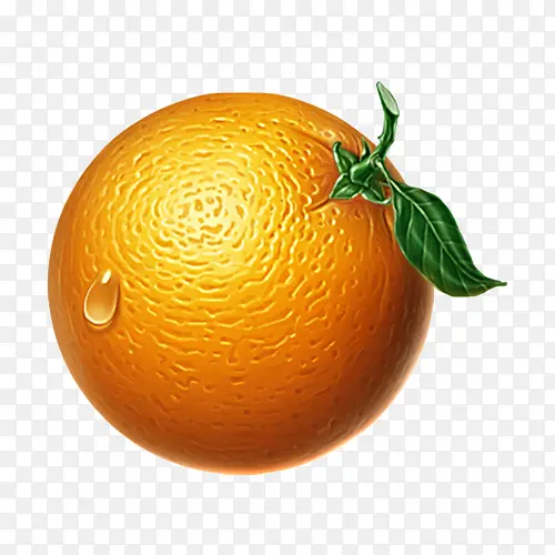 手绘逼真橘子