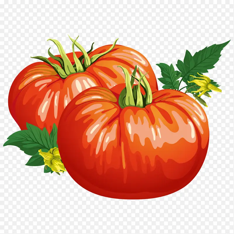 蔬菜 卡通番茄 西红柿