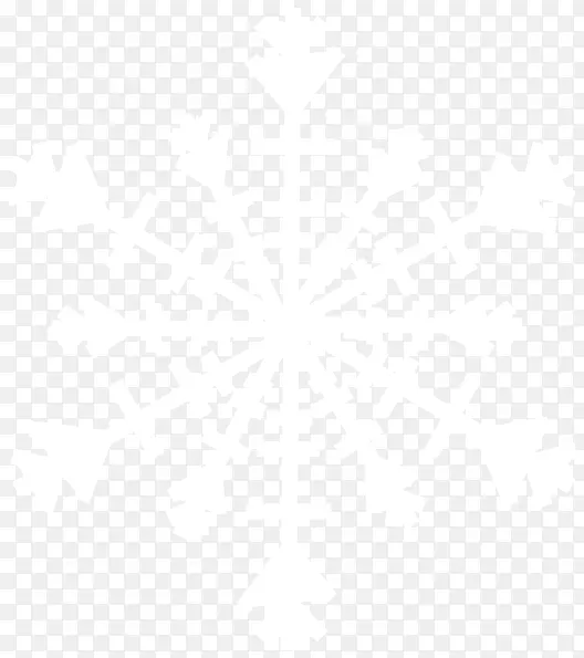 一片白色的雪花几何对称图形