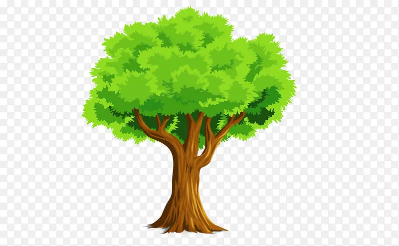 绘制创意漂亮绿色大树