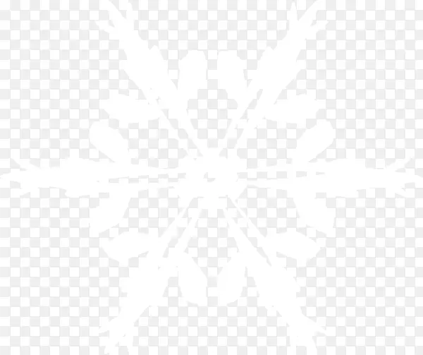 一片雪花白色纯色几何