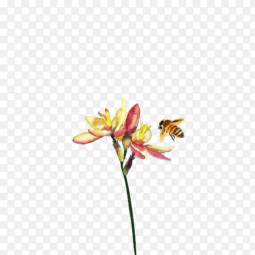 中国风水墨鲜花和蜜蜂意境24节气元素