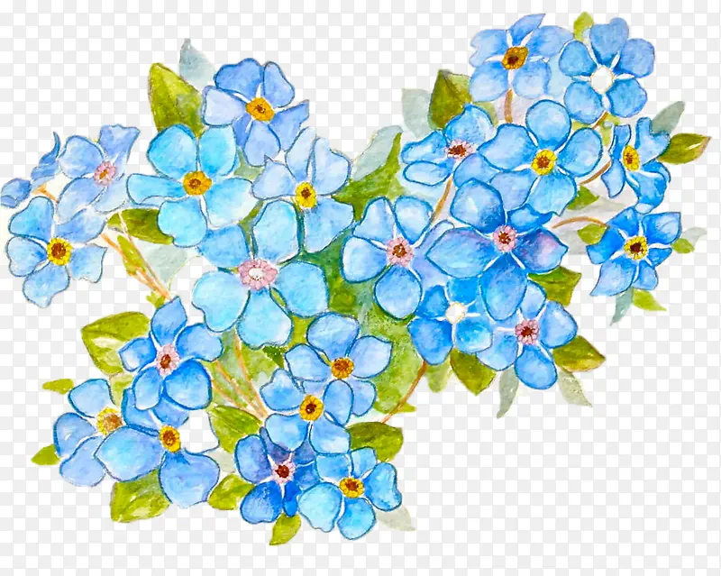手绘花朵勿忘我
