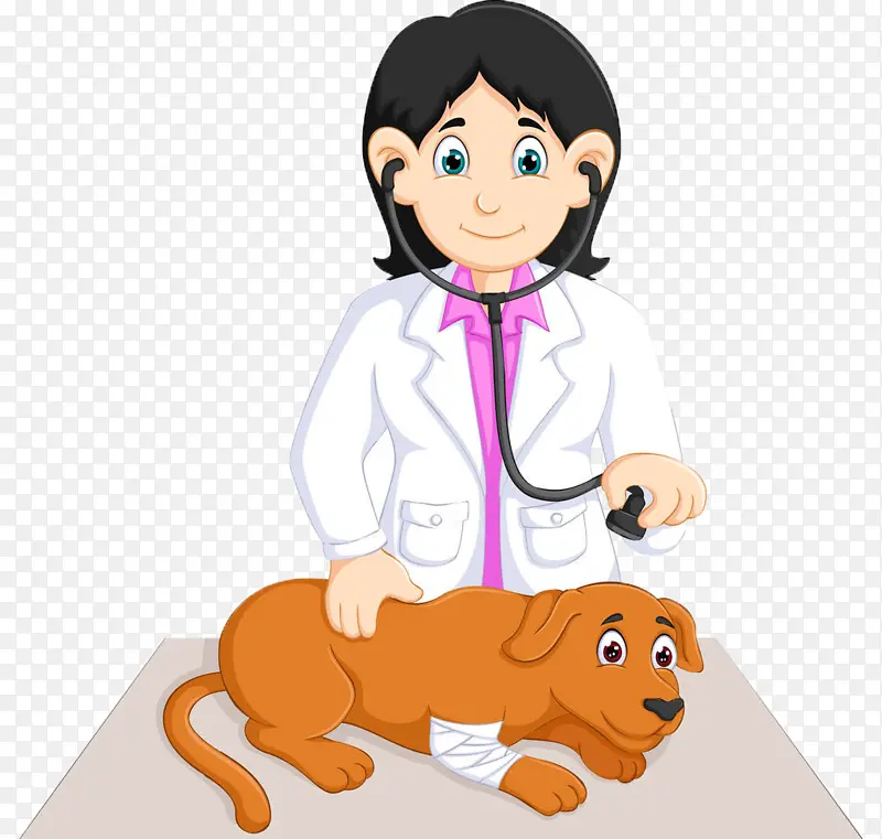 兽医给动物治病