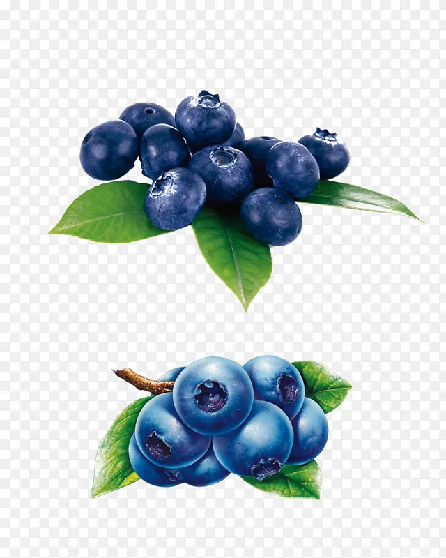 富含花青素的抗氧化食物蓝莓