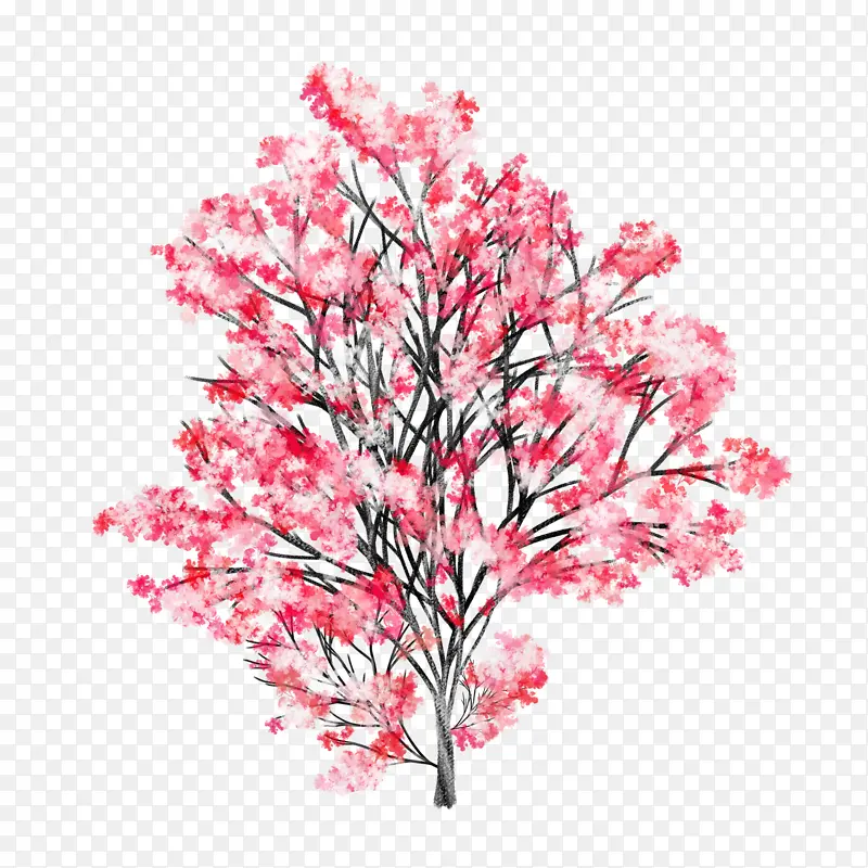 中国风手绘红叶树木