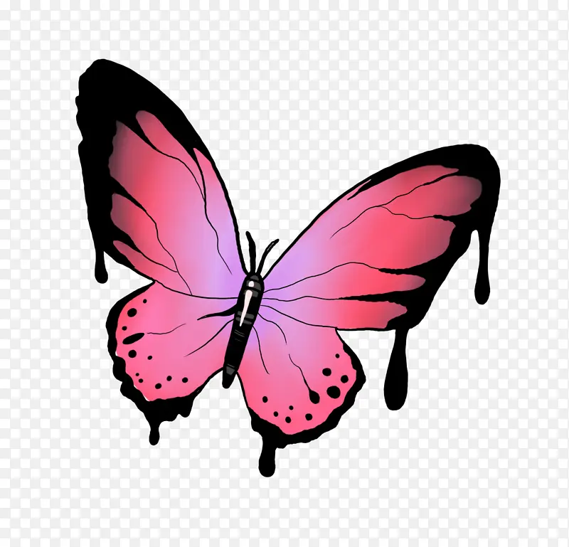 粉色的小蝴蝶 黑色