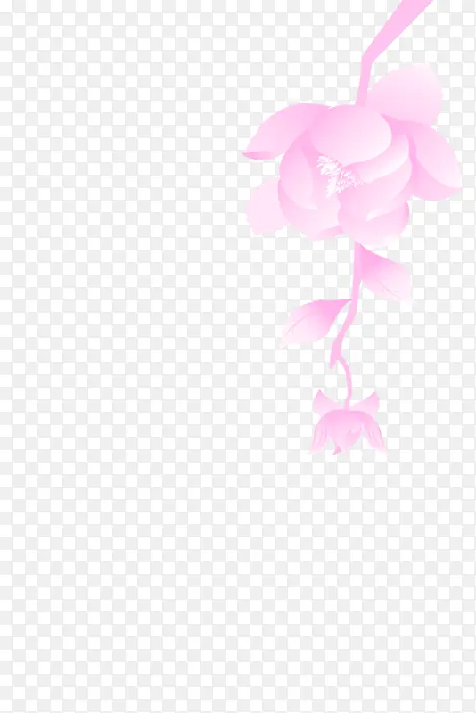 粉色单枝鲜花