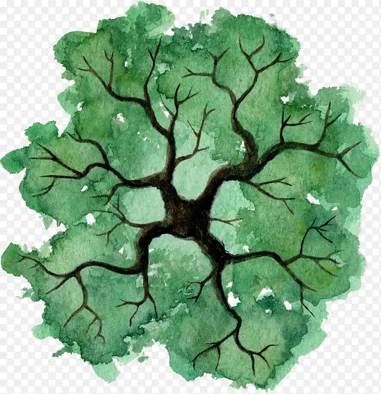 绿色树冠树干水彩风手绘