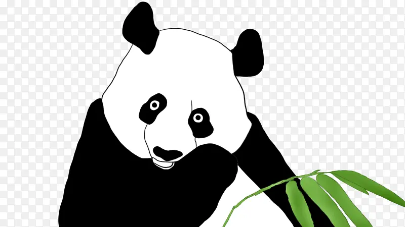 手绘国宝熊猫元素