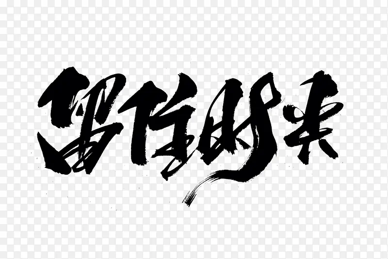 中国风  字体 设计 飘逸