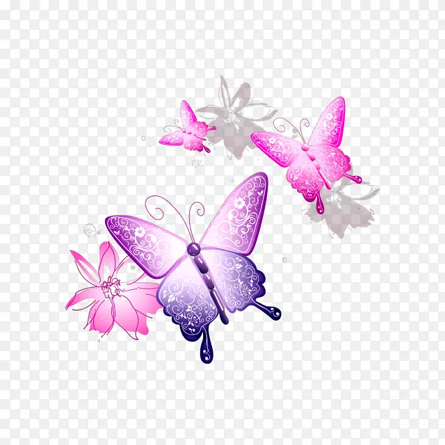 蝴蝶  抠图  漂亮  绝美
