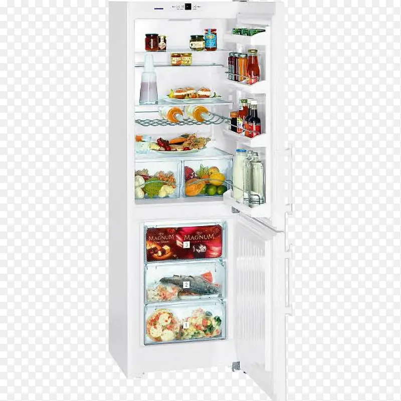 储存食物冰箱