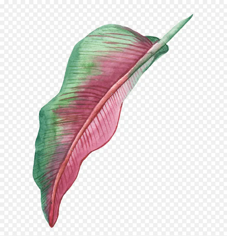 动植物元素叶子