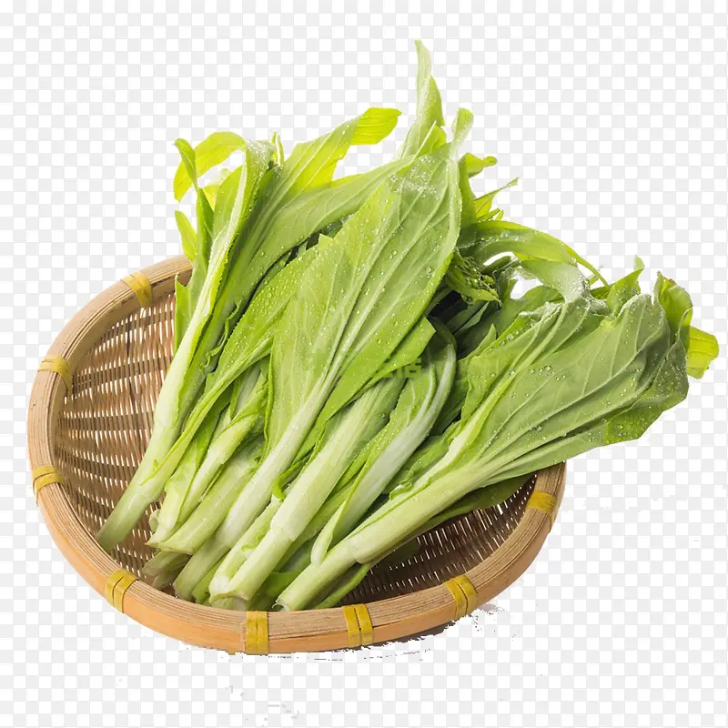 新鲜的白菜苔