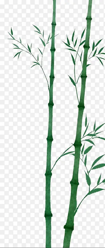 中国风水墨 竹子