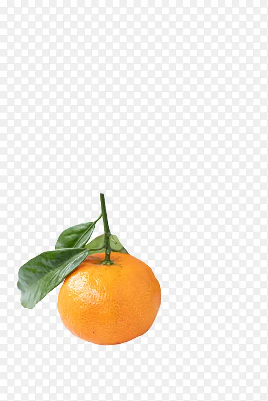 一个完成的新鲜橘子