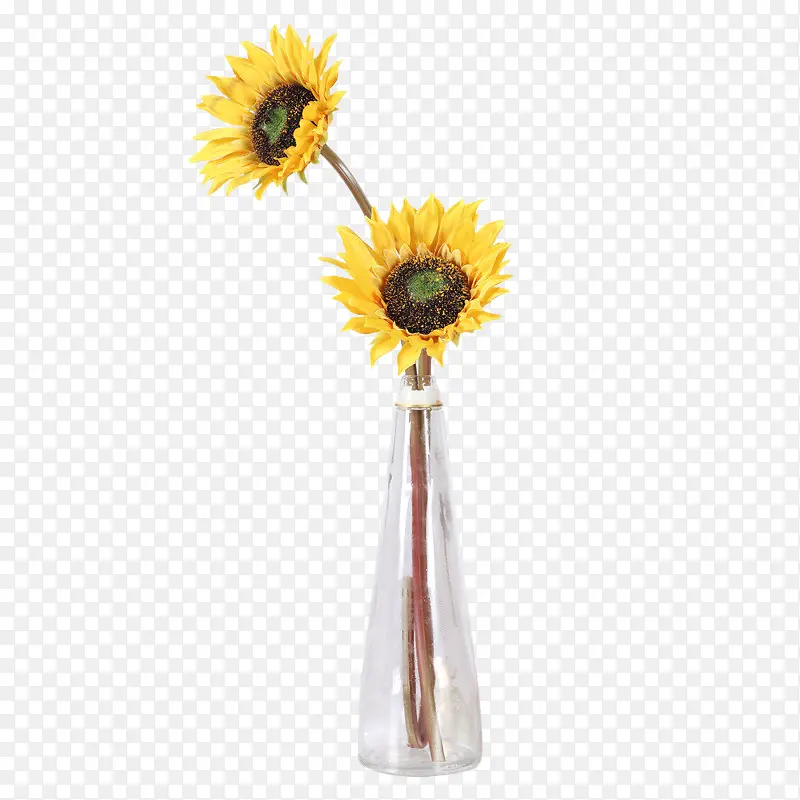 向日葵大太阳花瓶装花
