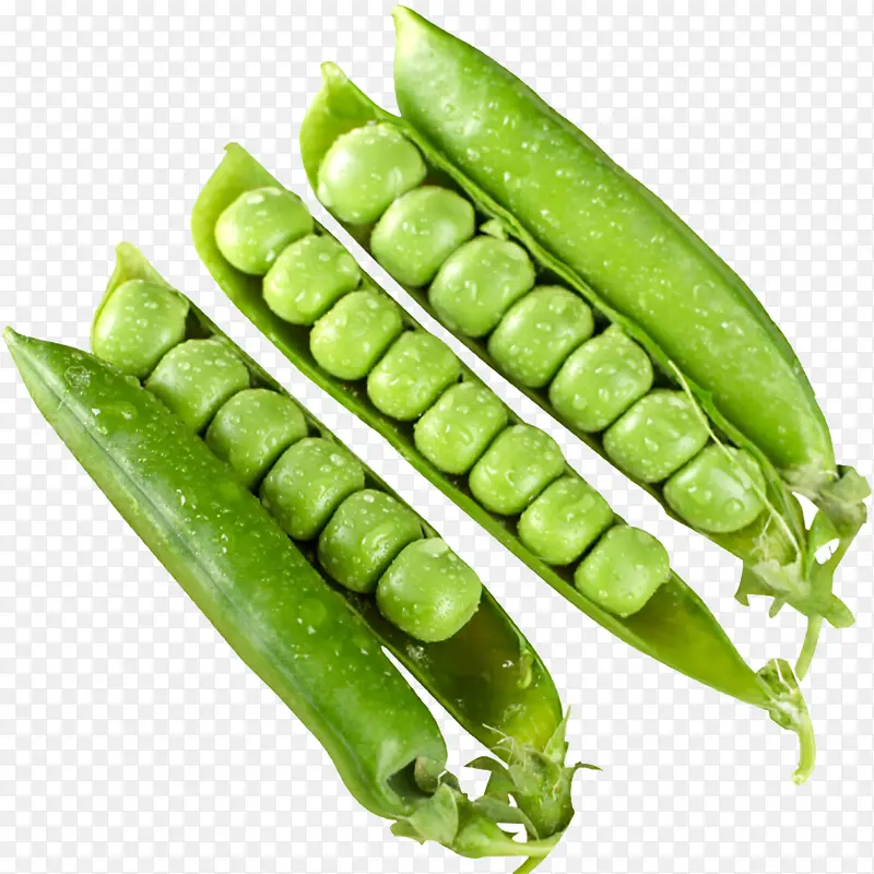 绿色的雪豆蔬菜