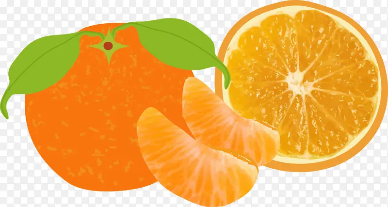 橘子，免扣卡通，手绘，橙色