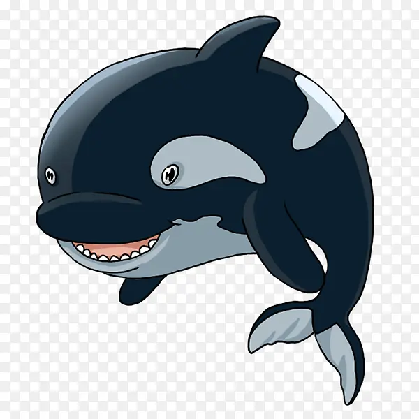 卡通虎鲸海洋动物图片