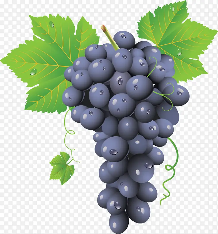 高清PNG水果葡萄1