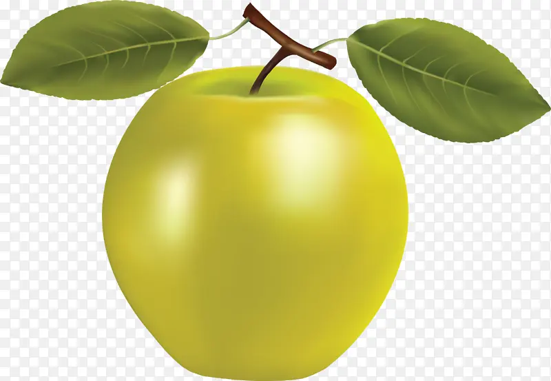 绿色高清苹果图片
