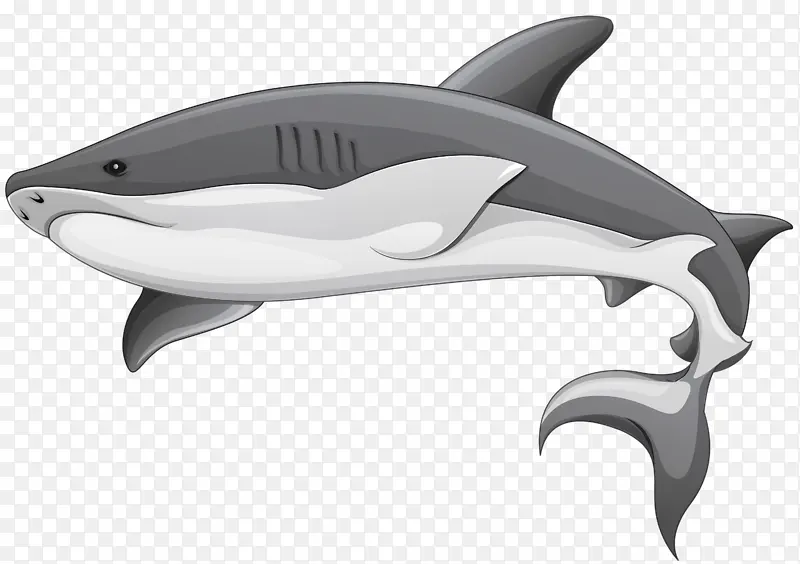 卡通高清PNG鲨鱼图片