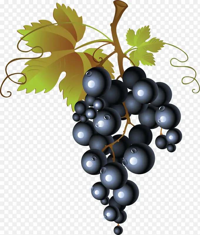 卡通高清PNG水果葡萄