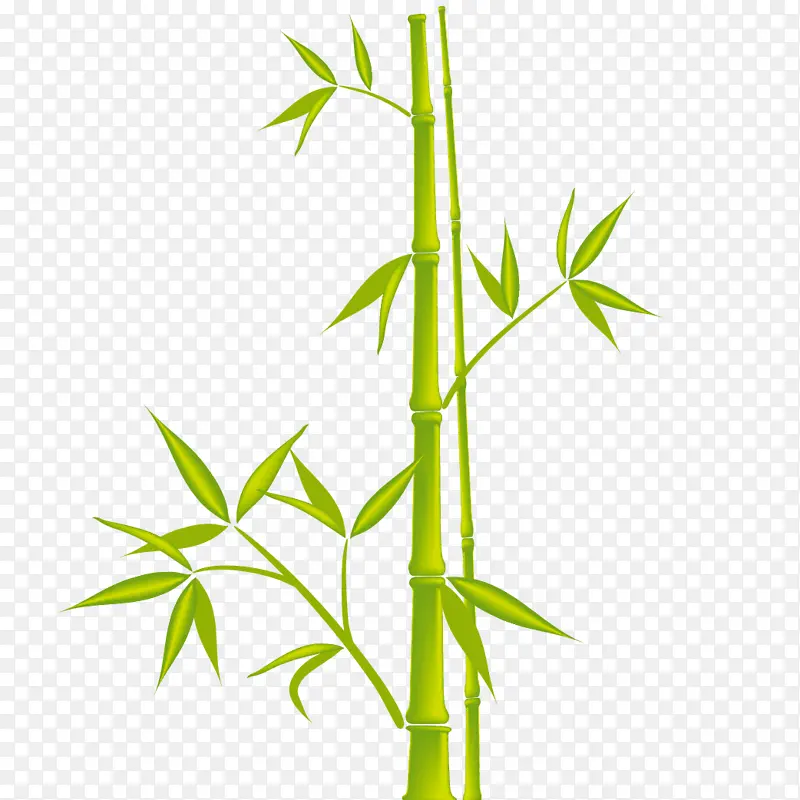 卡通竹子植物矢量图5
