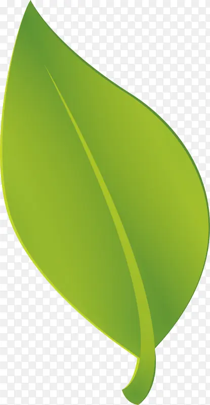 夏天绿色小清新树叶点缀PNG图片素材下载_图片编号qpkkgbmz-免抠素材网