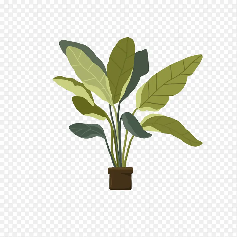 绿色植物盆栽1